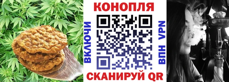 omg ТОР  Снежногорск  Canna-Cookies конопля 
