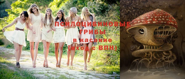 ешки Балахна