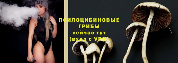 стафф Баксан