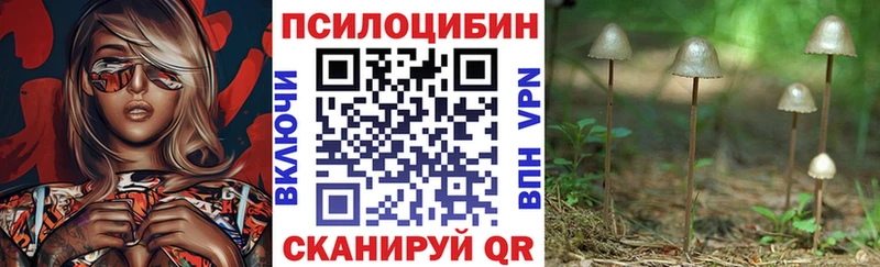 Галлюциногенные грибы прущие грибы Снежногорск